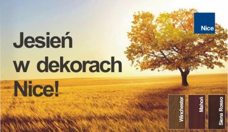 Promocja - Jesień w dekorach Nice!